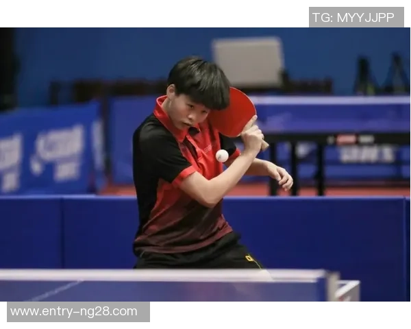 张磊的乒乓球人生深度对话探讨与成长之路的启示与反思