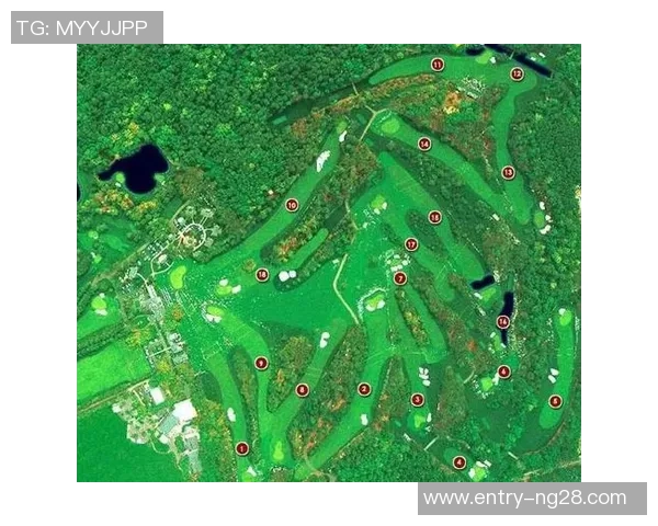 成都乒乓球队转型之路的挑战与机遇全景解析